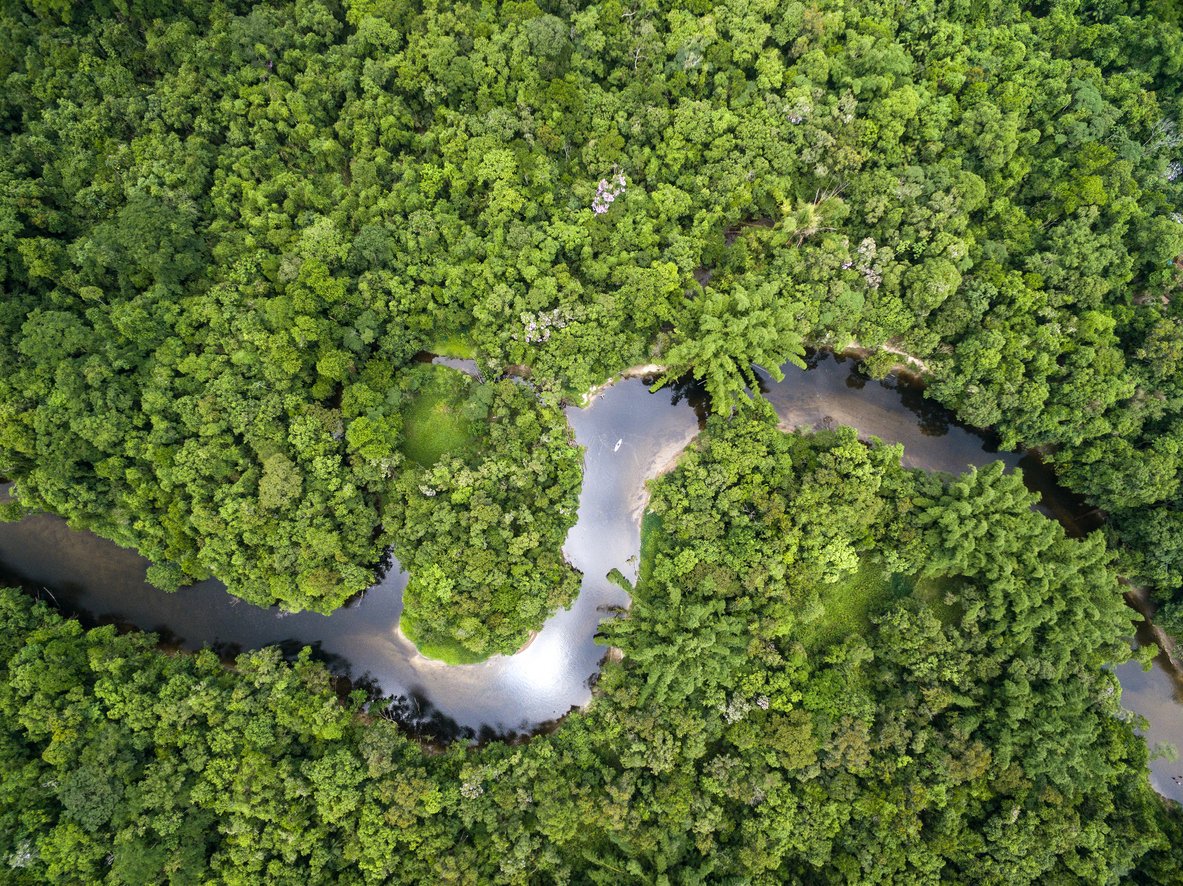 Ação coletiva para preservar o ecossistema de uma bacia hidrográfica brasileira